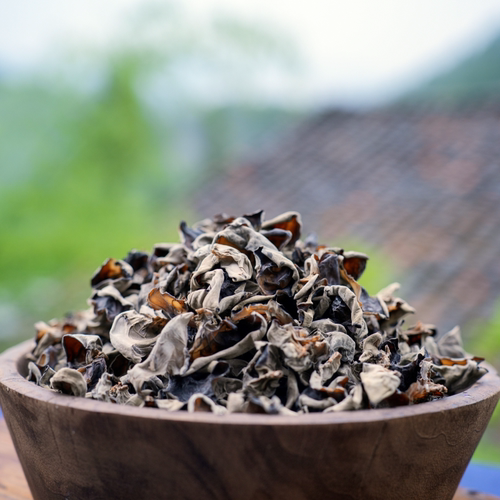 椴木春木耳露天生长软糯滑嫩