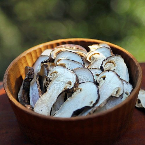 藏区林芝野生松茸干片