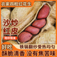 25年新鲜铁锅沙炒红皮花生原味带壳现炒现发炒熟东北红皮花生