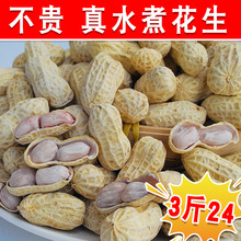 22年广东新水煮咸干花生3斤晒干原味盐咸干晒干农家五香带壳花生