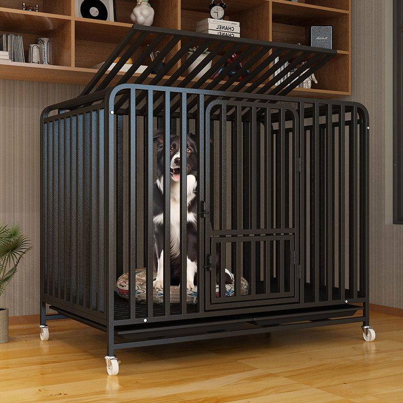 狗笼子大型犬室外 加固金毛拉布拉多狗笼中型犬宠物 狗笼子加粗,宠物/宠物食品及用品,狗笼子,淘宝优惠券,粉丝福利购,淘宝优惠卷