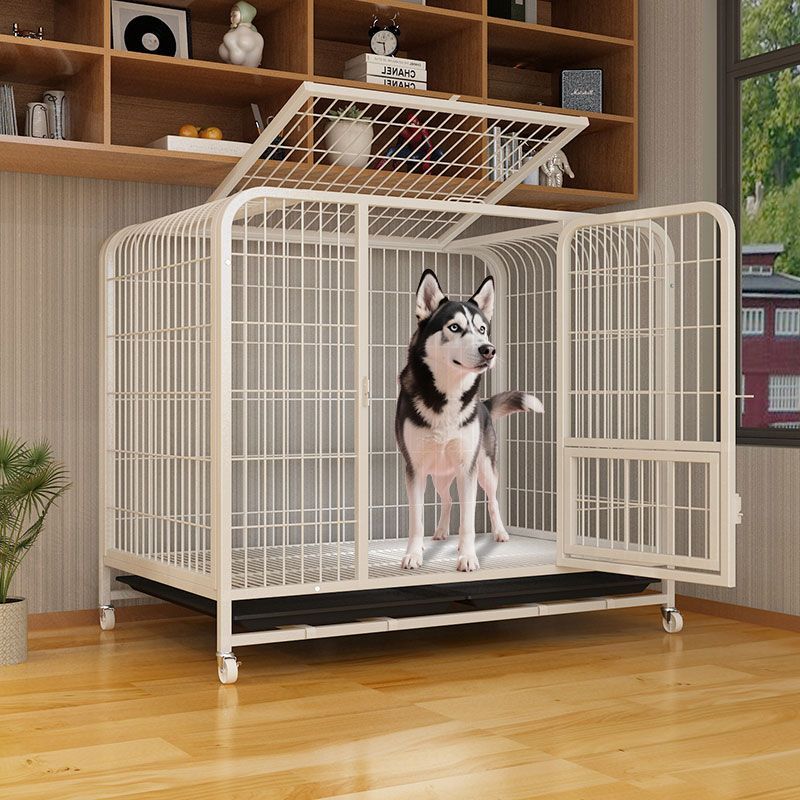 全管狗笼子大型犬中金毛