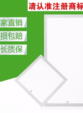 30x120x60x40明装平板灯