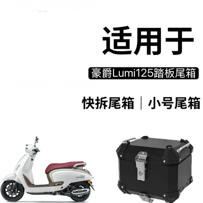 适用 摩托车豪爵Lumi125尾箱铝合金后备箱踏板后备箱小号快拆尾箱