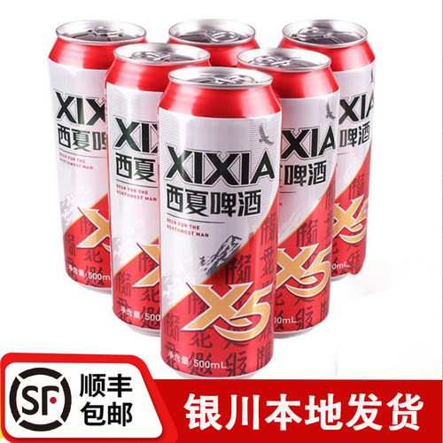 西夏啤酒X5罐装12罐宁夏啤酒