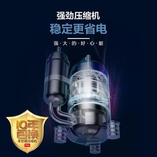 51GW 新三级变频冷暖适用壁挂式 FH11Bp T.CL大2匹空调KFRd