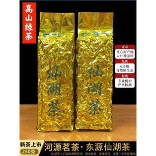 茶农茶园直销河源仙湖茶2025清明春茶特级上莞春茶绿茶叶高山茶叶