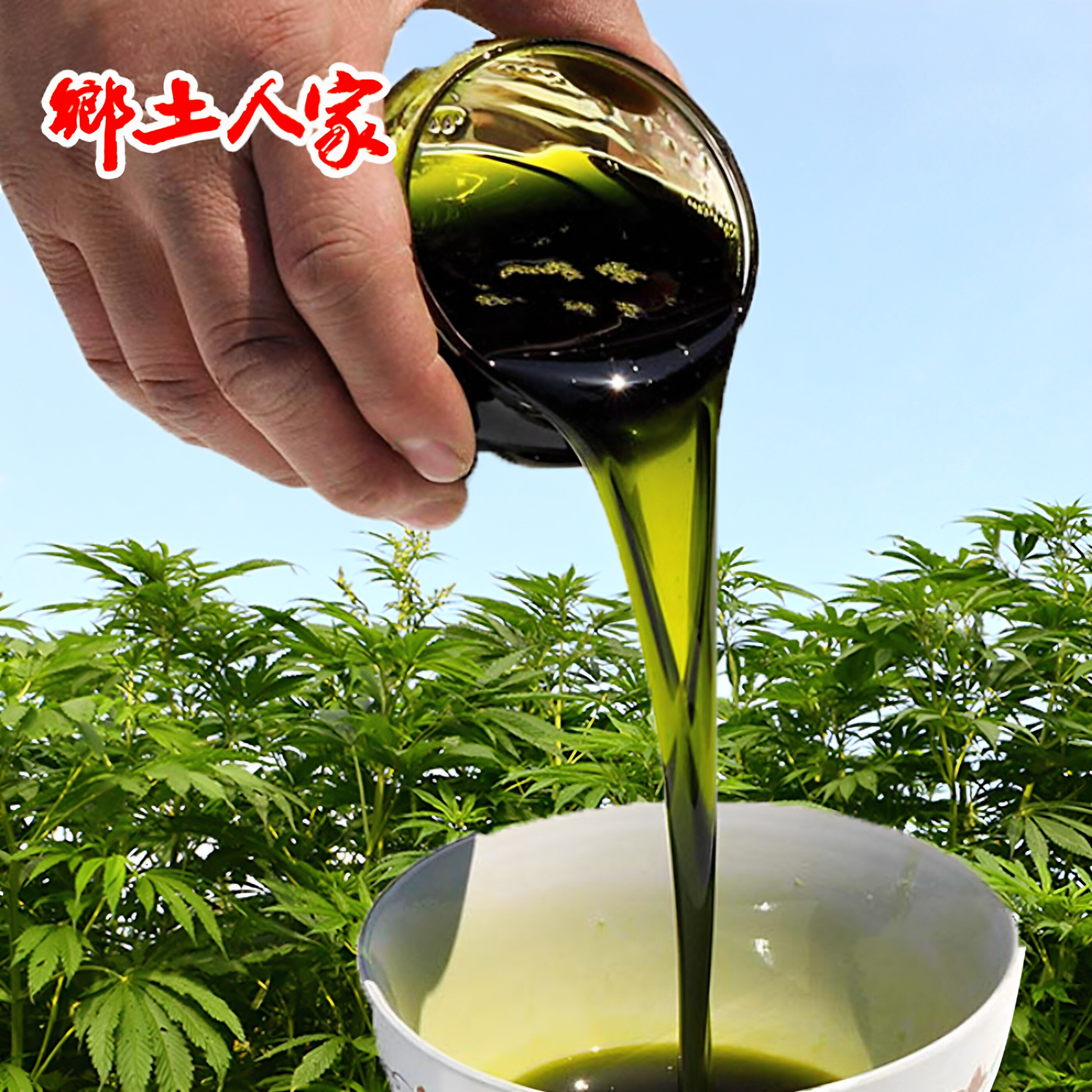 火麻油麻籽油麻子油小麻油长寿油500ml乡土人家土特产食用线麻油
