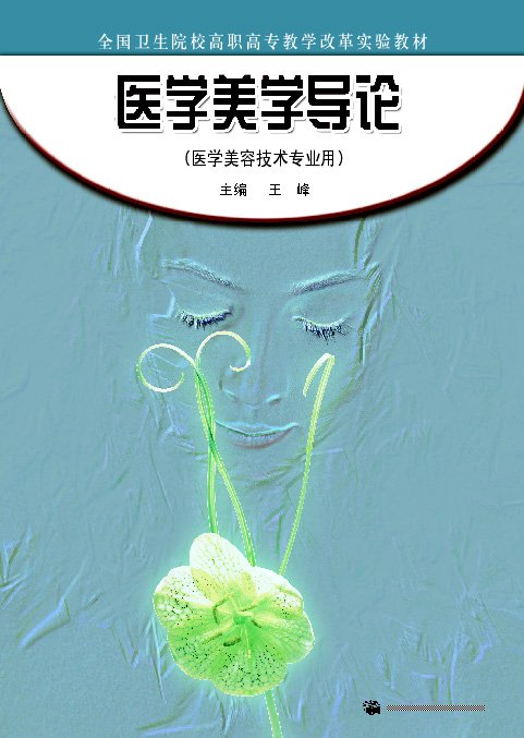 医学美学导论 王峰 高等教育出版社