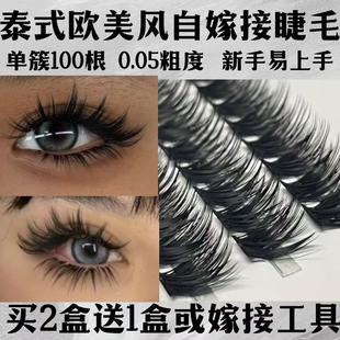 泰式欧美亚裔自嫁接假睫毛女100D单簇分段式朵毛浓密卷翘适合新手