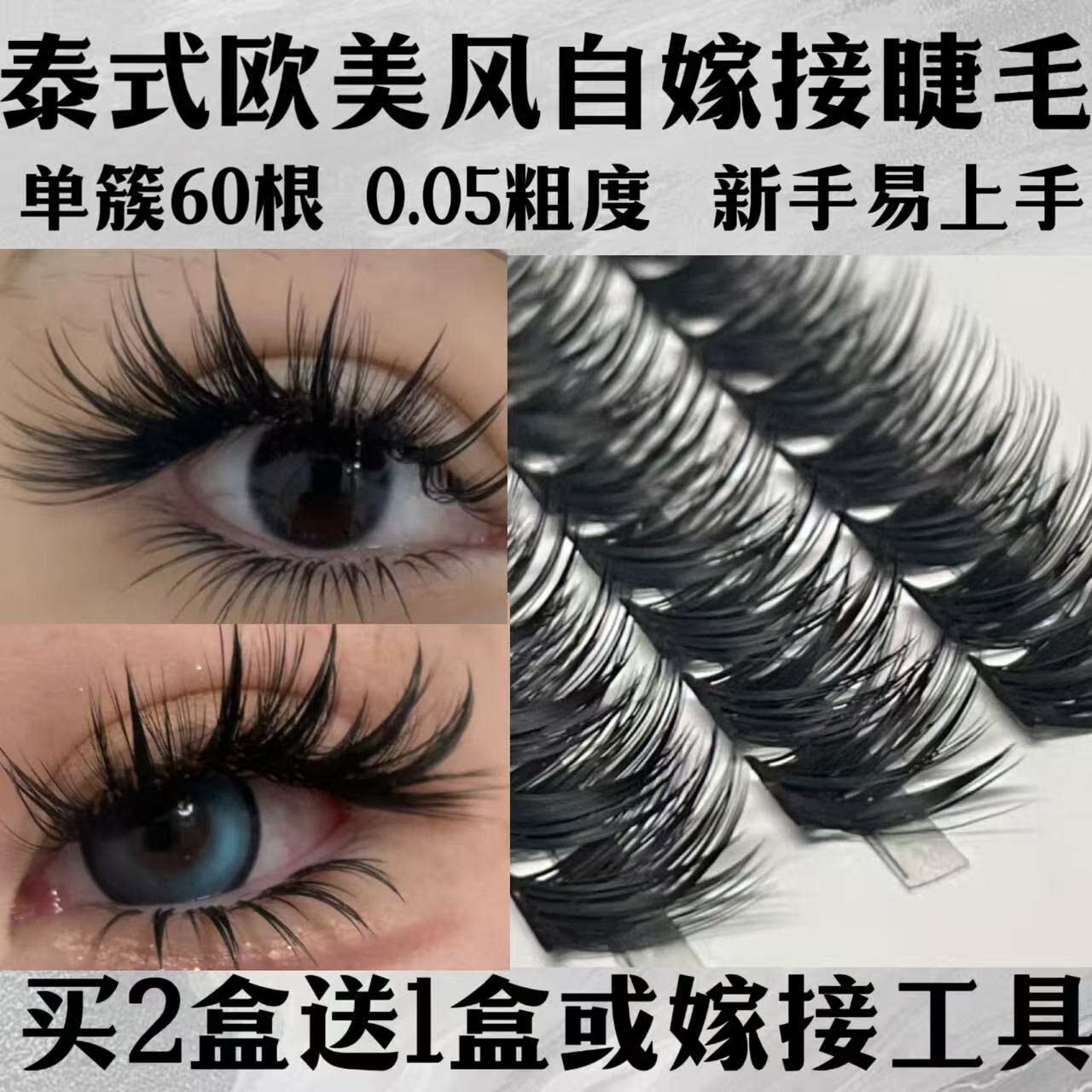 泰式欧美亚裔自嫁接假睫毛女60D单簇分段式朵毛浓密卷翘适合新手