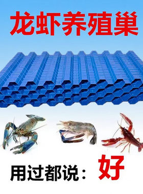 澳洲龙虾巢螃蟹屋虾槽小龙虾人工养殖巢窝水蛭塑料瓦板龙虾窝板