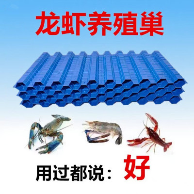 澳洲龙虾巢螃蟹屋虾槽小龙虾人工养殖巢窝水蛭塑料瓦板龙虾窝板