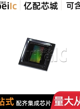 AR0230CSSC00SUEA0-DRBR IBGA-80 DRBR1 DPBR2 图像传感器芯片