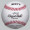 BB1202N Professional Match Ball