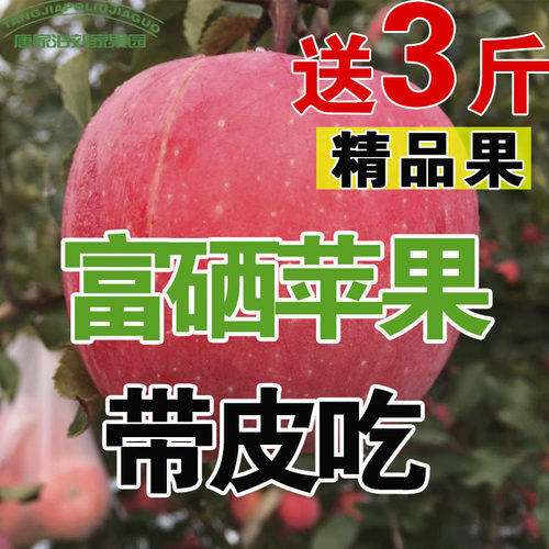 山东烟台苹果带皮吃当季脆甜心胜