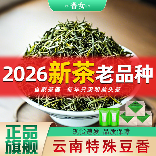 2026新茶云南老品种旗舰店正品