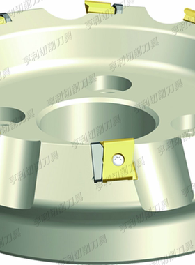 正品株洲60度面铣刀盘FMD03-100-B32-LN20-05 LNKT2007DN-ZR