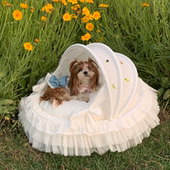 限时秒 通用宠物摇篮可拆洗狗窝比熊马尔济斯小中型犬 宝丽珍四季