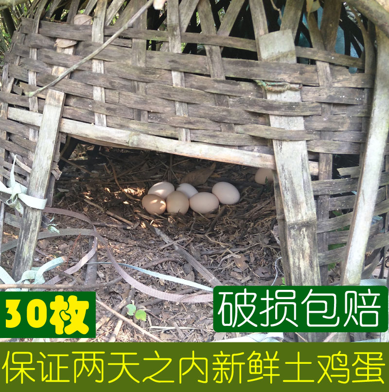 正宗土鸡蛋农家散养新