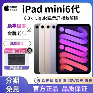 Apple/苹果 iPad mini (第六代) 无线局域网机型