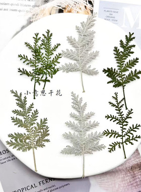 干花押花，滴胶干花小意思