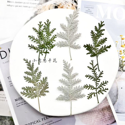 干花押花，滴胶干花小意思