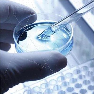 议价[比冠]Kieback&Peter FSM28输入输模块