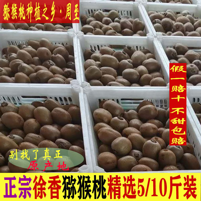 陕西正宗徐香猕猴桃新鲜大果当季整箱绿心奇异果现摘孕妇甜包邮,水产肉类/新鲜蔬果/熟食,奇异果/猕猴桃,淘宝优惠券,粉丝福利购,淘宝优惠卷