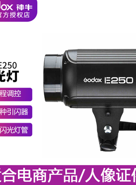 神牛E250w小型闪光灯摄影灯 补光灯电商拍照摄影影室拍照拍摄器材
