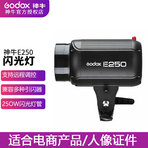 神牛E250w小型闪光灯摄影灯 补光灯电商拍照摄影影室拍照拍摄器材