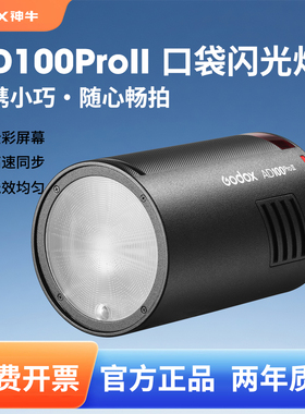 【升级二代】godox神牛AD100proII外拍灯闪光灯高速TTL单反摄影灯锂电池口袋迷你户外便携专业单反摄影补光灯