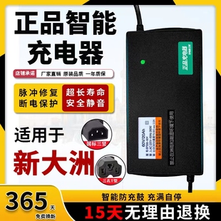 新国标公插 适用新大洲电动车电瓶充电器48V12AH60V20AH72V32A正品