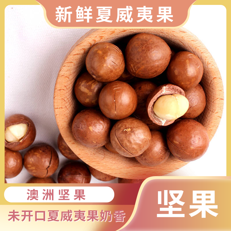 云南澳洲坚果新鲜带皮未开口夏威夷果生果原味奶香产地休闲小零食