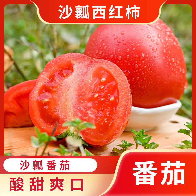 云南新鲜番茄自然熟沙瓤露天种植大中小酸甜心西红柿生吃蔬果做菜