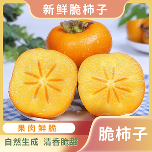 云南新鲜脆柿子冰糖心甜黄火晶不涩硬巧克力恭城当季孕妇生吃水果