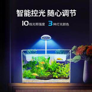 鱼缸生态懒人金鱼缸客厅家用塑料阳台桌面水族箱办公室造景中小型