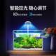 鱼缸生态懒人金鱼缸客厅家用塑料阳台桌面水族箱办公室造景中小型