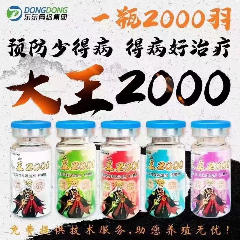 大王2000东东禽药进口免疫加饲料添加剂