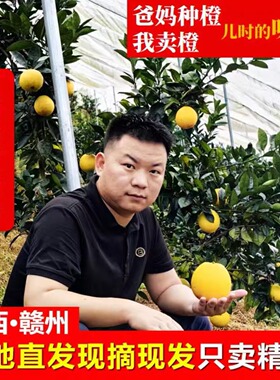 正宗江西赣南脐橙彩箱产地现摘直发精品大果新鲜水果橙子赣州寻乌