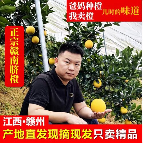赣南脐橙正宗大果新鲜精品