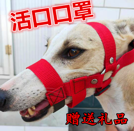 嘴套细狗防格力犬活口中毒灵缇