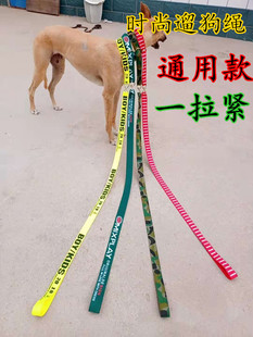 惠比特犬2特格惠格力灵缇一拉紧牵引绳遛狗帆布调节通用细狗一体