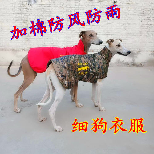 格力细狗加棉防雨厚保暖服格力犬