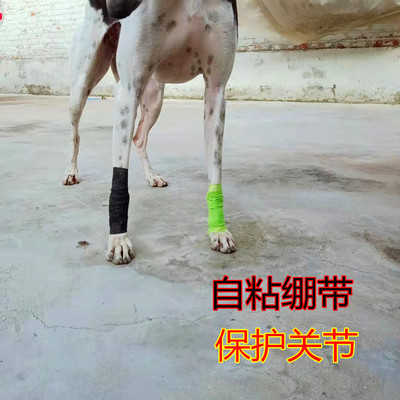 狗自粘绷带保护关节缠腿胶布细狗