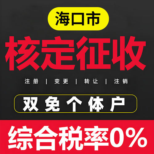 海口个体户核定征收双免公司返税园区税务咨询财务咨询地址挂靠