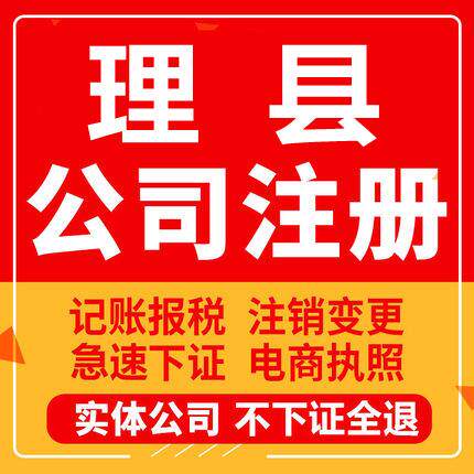 理县公司注册个体工商营业执照代办公司注销企业变更股权异常