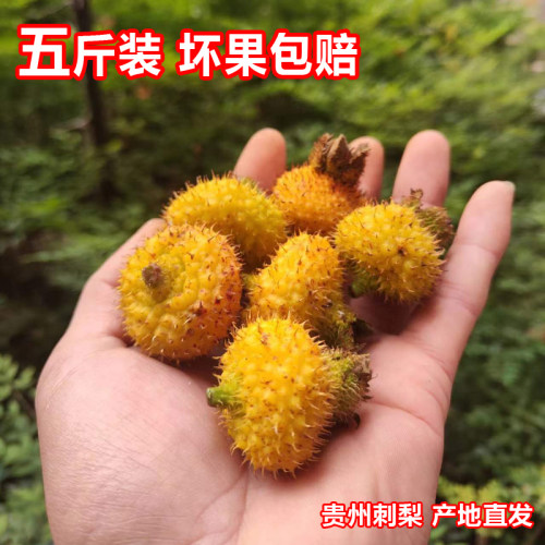 去籽去刺鲜果25年贵州野生维C鲜果刺梨 新鲜刺梨果 冷链发货