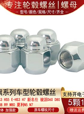 适用红旗H3 H5 HS5 E-HS3 H7新名仕骏派D60D80轮胎螺丝帽轮毂螺母