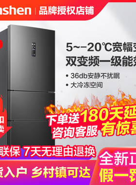 Ronshen/容声 BCD-252WD18NP三门家用小型电冰箱节能风冷无霜变频